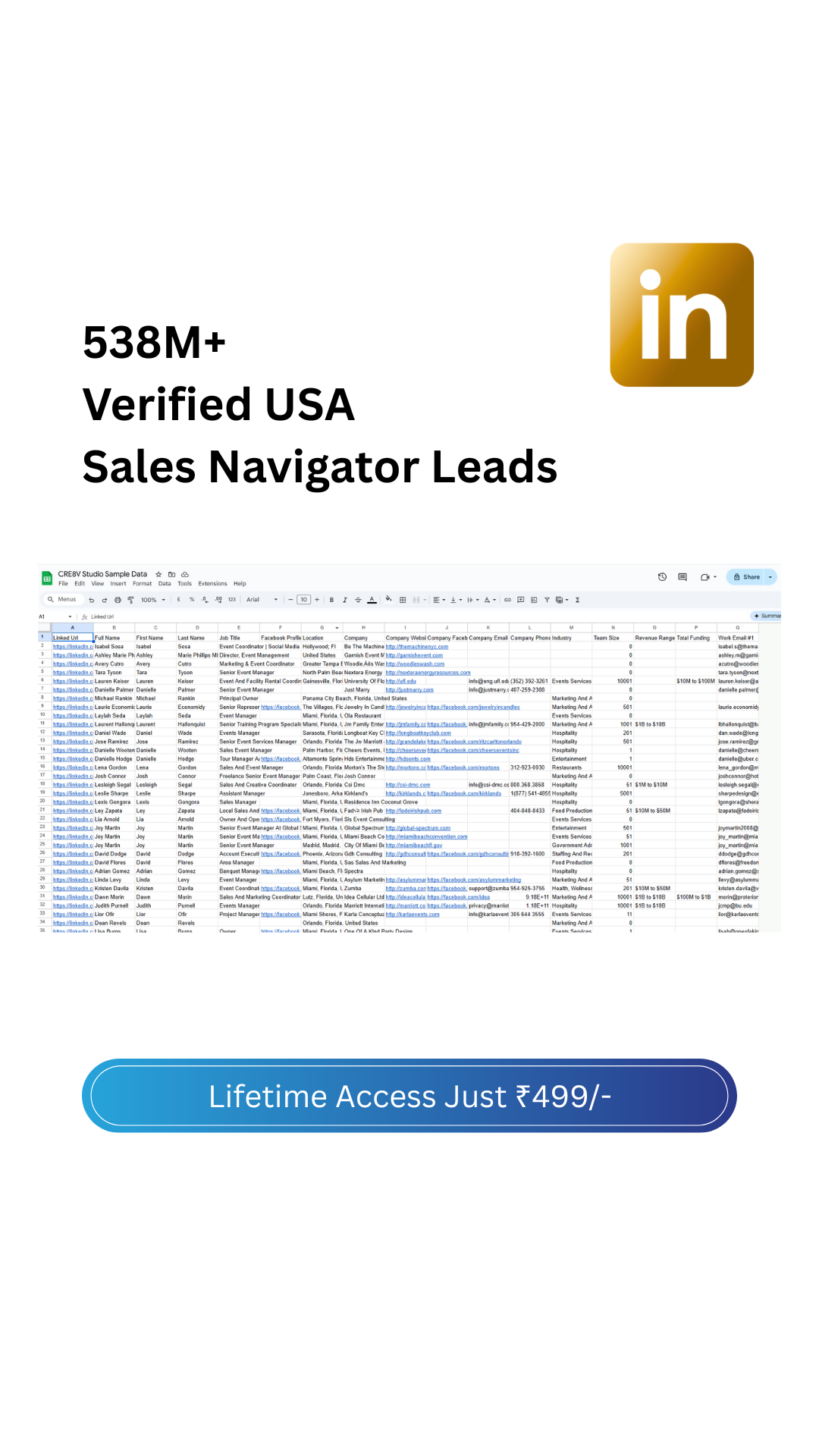 Sales Nav Story Size